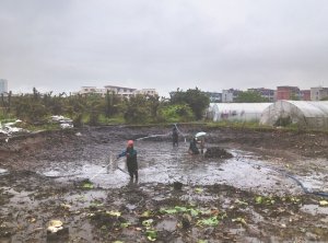 绥棱河道鱼塘清淤